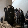P1050707