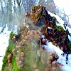 P1050008