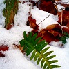 P1050017