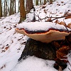 P1050031