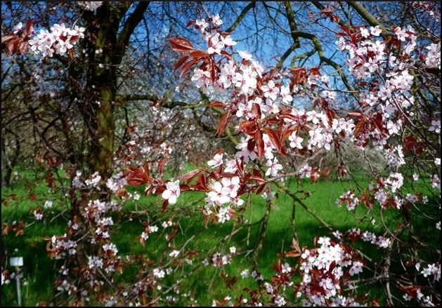 P1090186