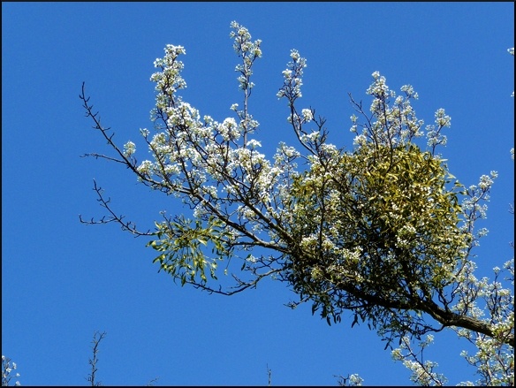 P1090213