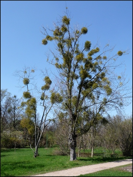 P1090215