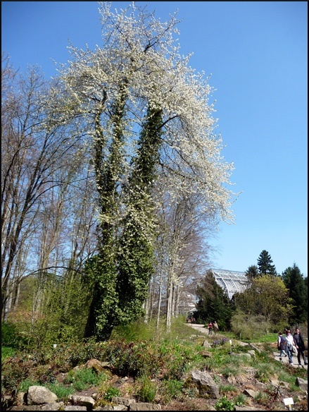 P1090257