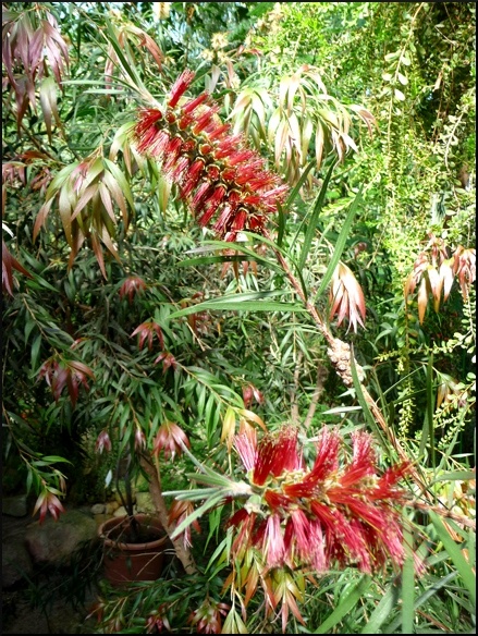P1090277