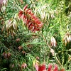 P1090277