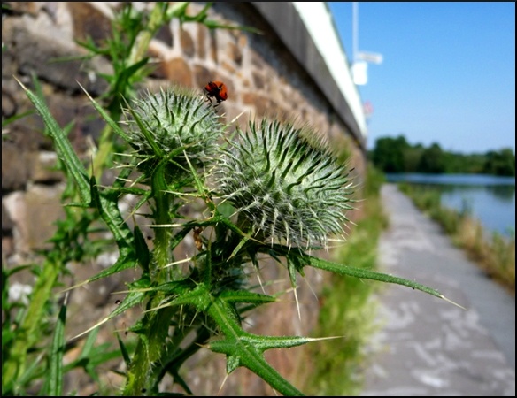 P1100123