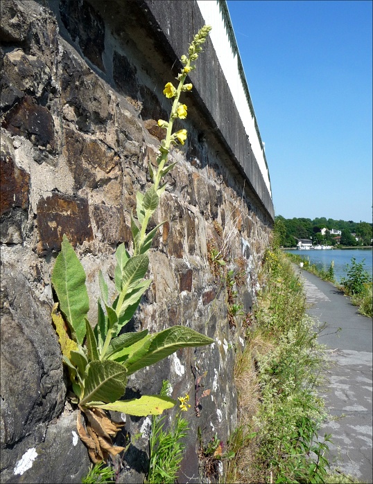 P1100130