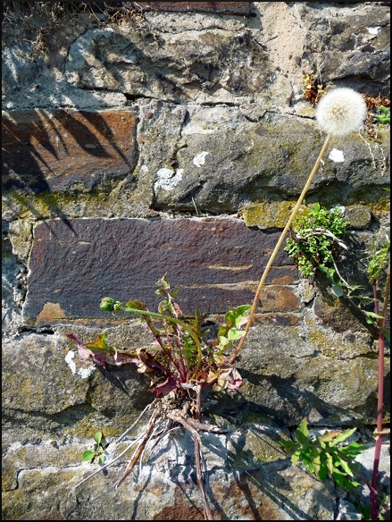 P1100132
