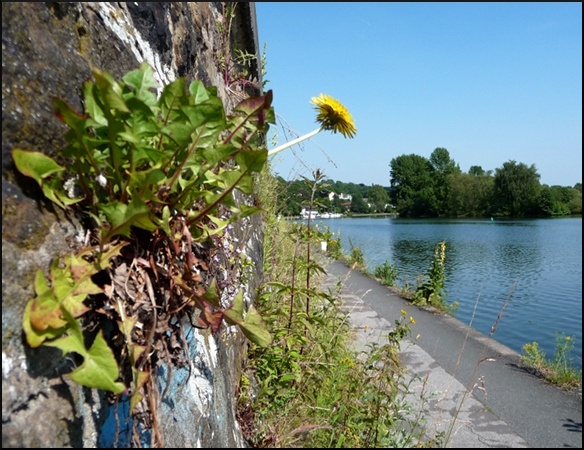 P1100134