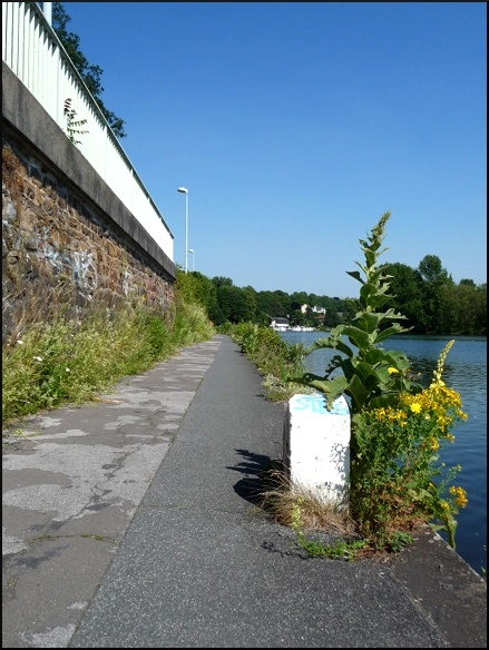 P1100138