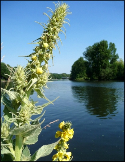 P1100147