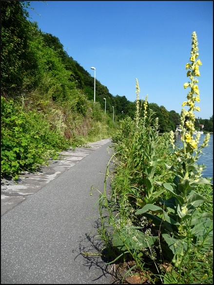 P1100151