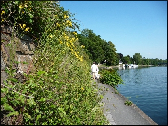P1100160