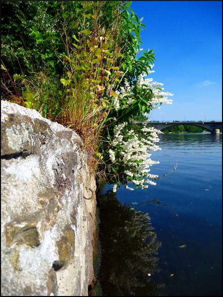 P1100177