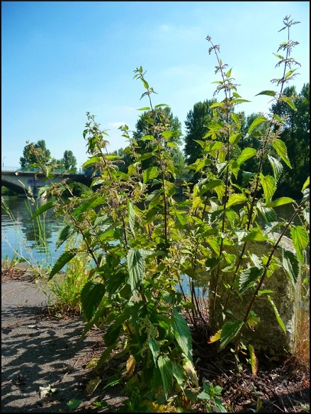 P1100179