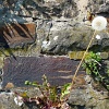 P1100132