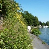 P1100160