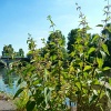 P1100179