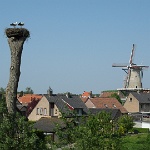 SAM_3610