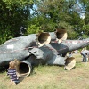 SAM_4496