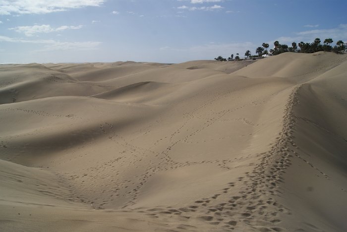 DSC04480