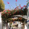 DSC03918
