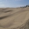 DSC04480